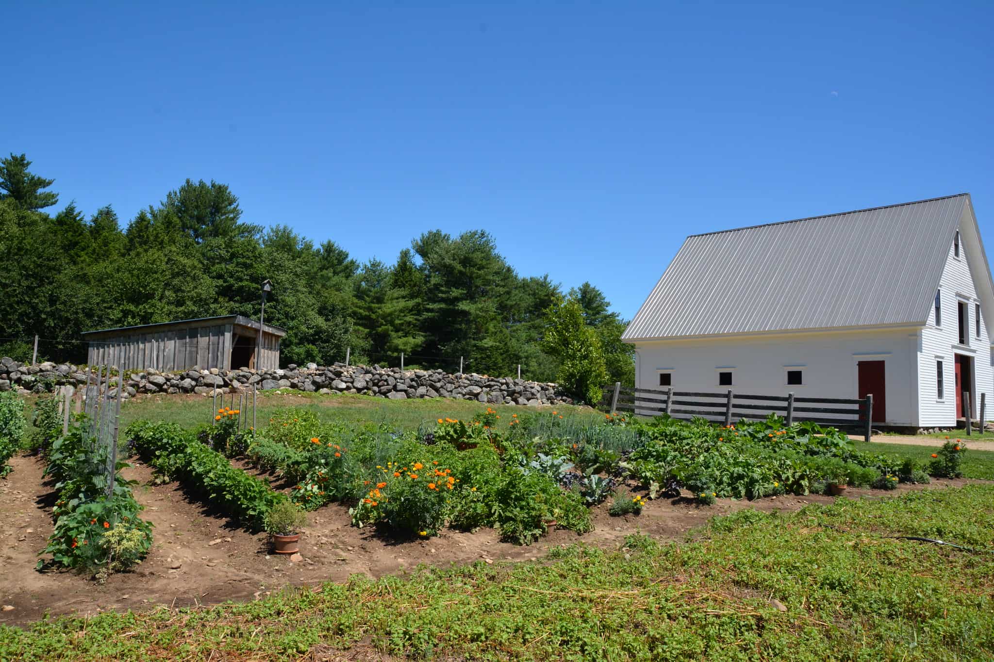 teaching garden