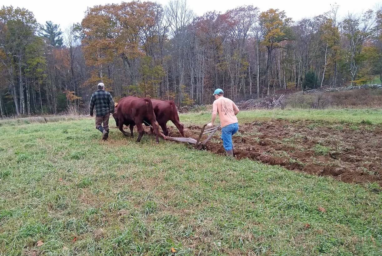 New Website Photo - Farming