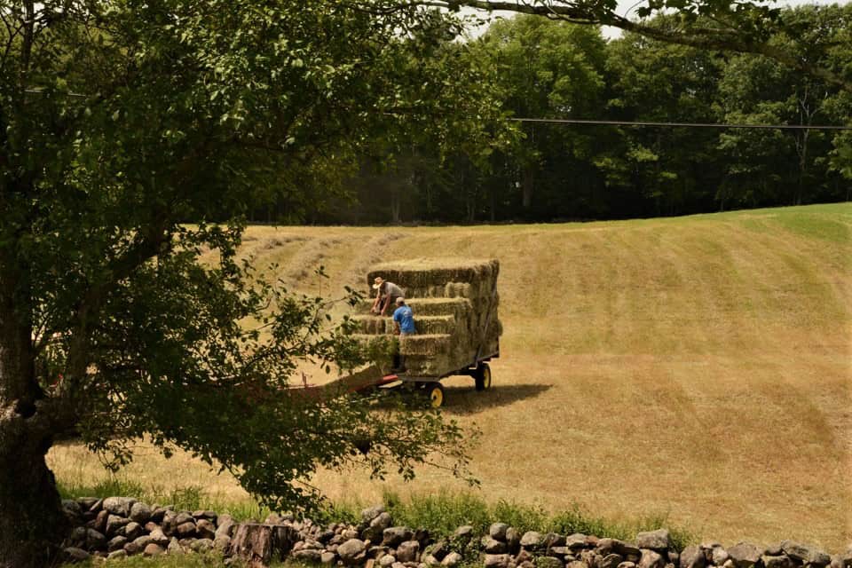 Website Photos - Farm Fields