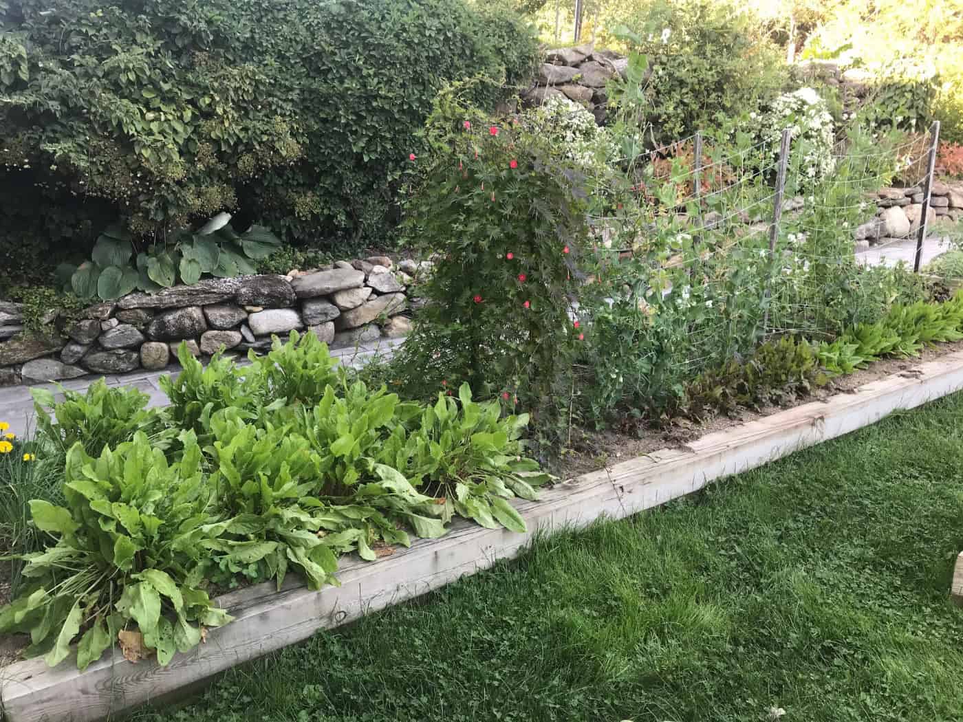 Website-Photos---Kitchen-Garden