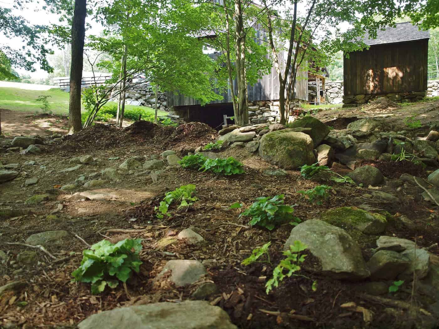 Website-Photos---Stream-Garden---AI