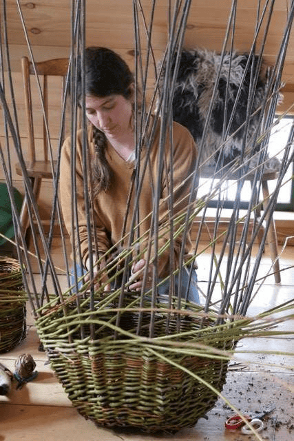 prin-van-gulden-fiber