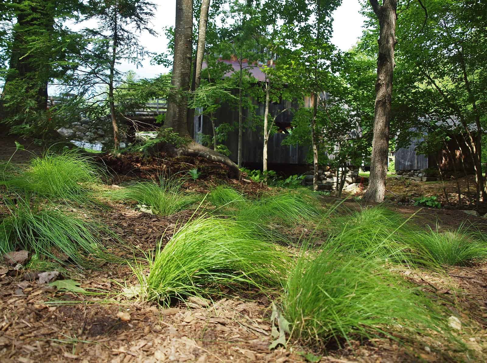 Sawmill Garden