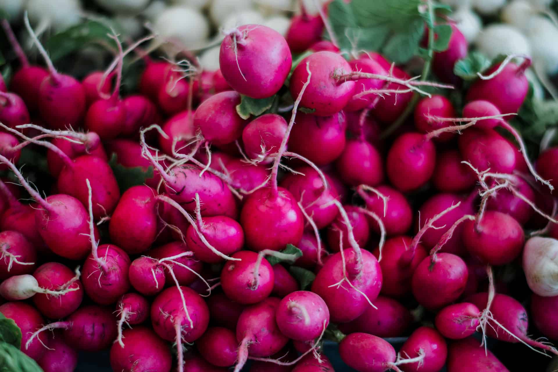 food_produce-10