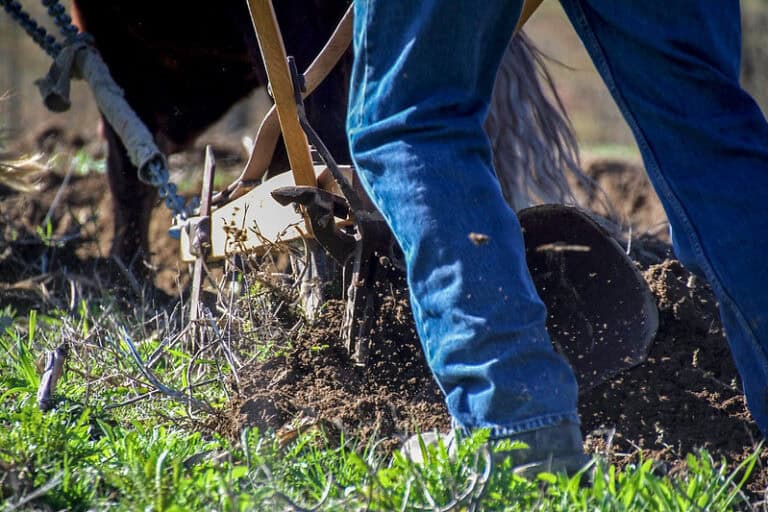 Home Sanborn Mills Farm