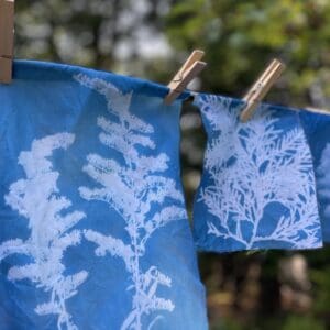 cyanotype